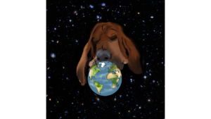 This creative and whimsical image features a large, brown dog's head and nose in space, hovering above a small Earth. The dog (probably a Basset Hound) has droopy ears and a calm expression. The Earth is depicted with blue oceans and green and brown land masses—you can make out the general shapes of continents such as North and South America, Africa, and parts of Europe and Asia. The background is a starry night sky with various galaxies and stars. The starry background appears to be a photograph, while the dog and the Earth seem to be drawn or digitally created, giving the image a mix of realism and illustration. Illustration by Alabaster Rhumb, description by Be My AI, lightly edited.